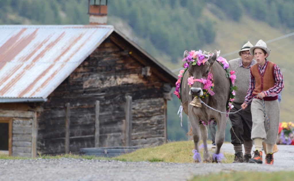 Přijeďte na tradiční Alpen Fest 2024 do Livigna