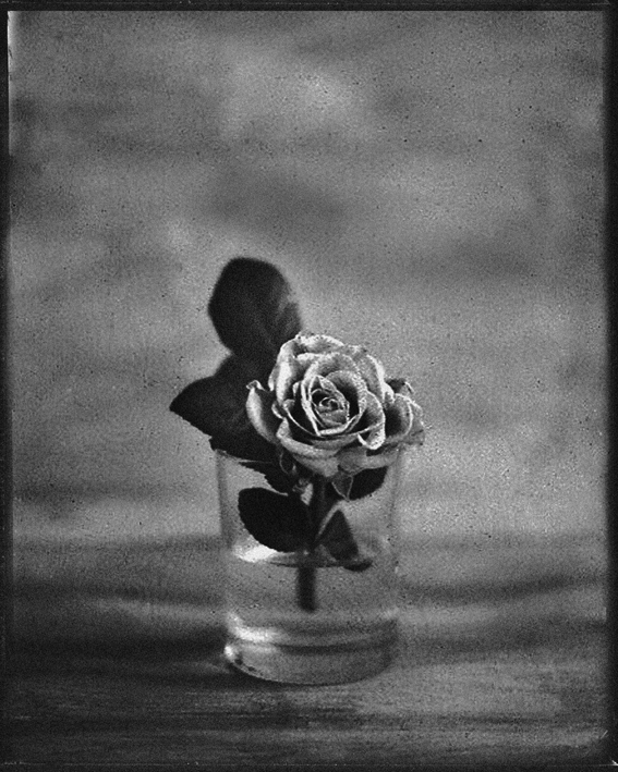 Galerie Tančící dům