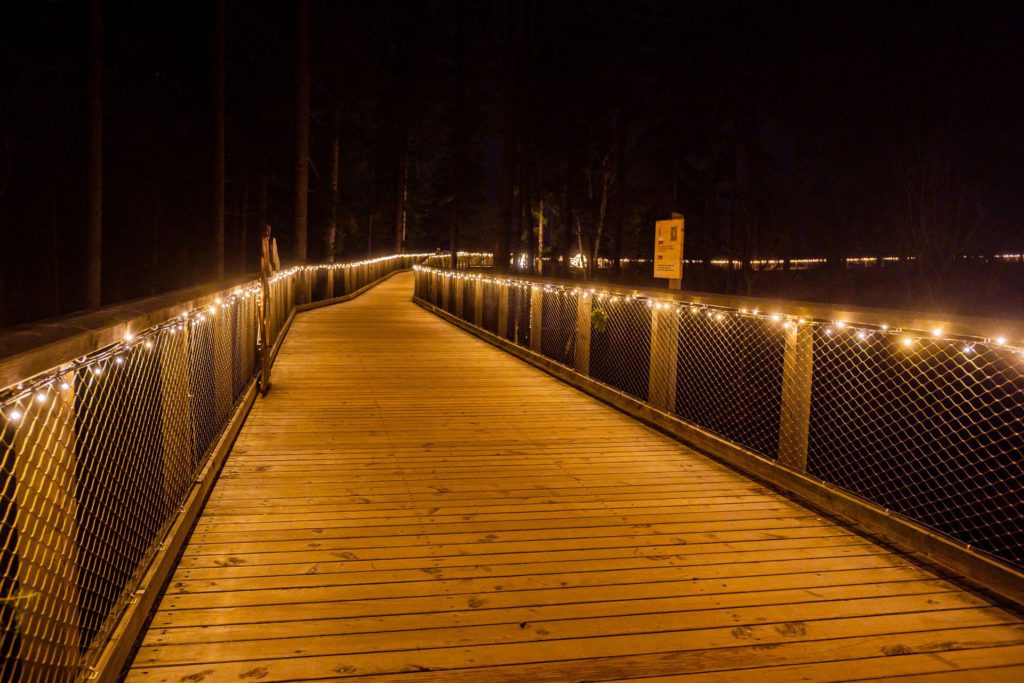 Stezka korunami stromů Krkonoše