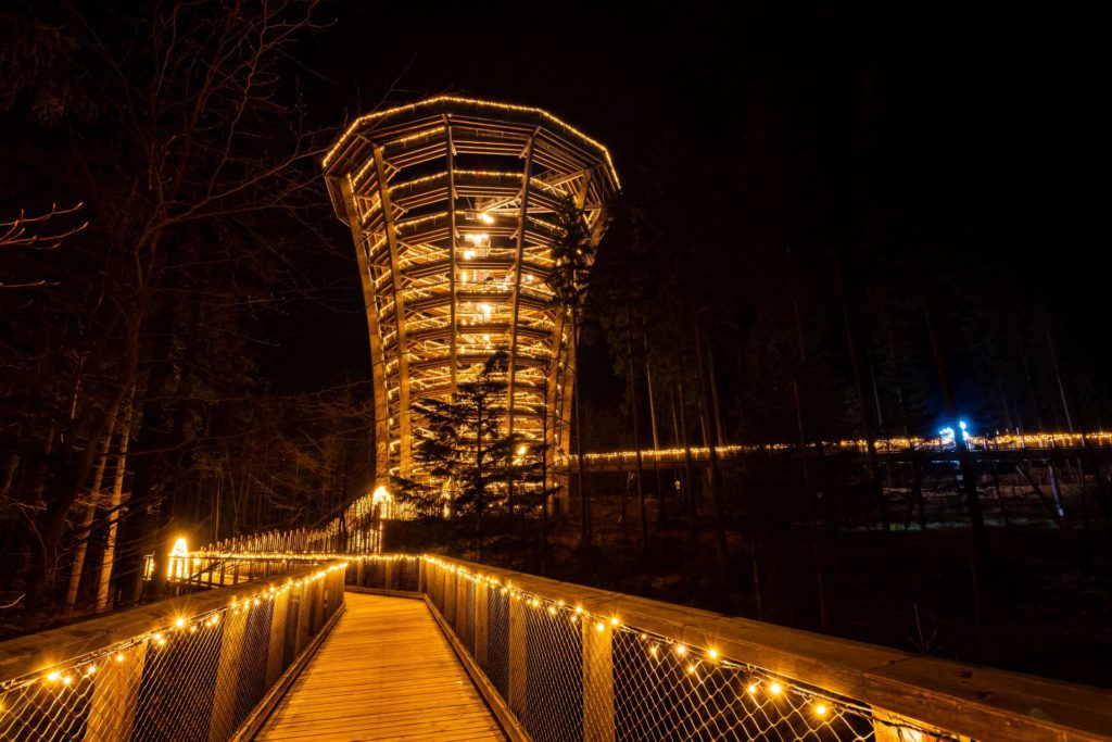 Stezka korunami stromů Krkonoše