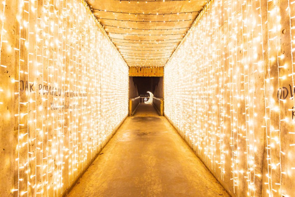 Stezka korunami stromů Krkonoše