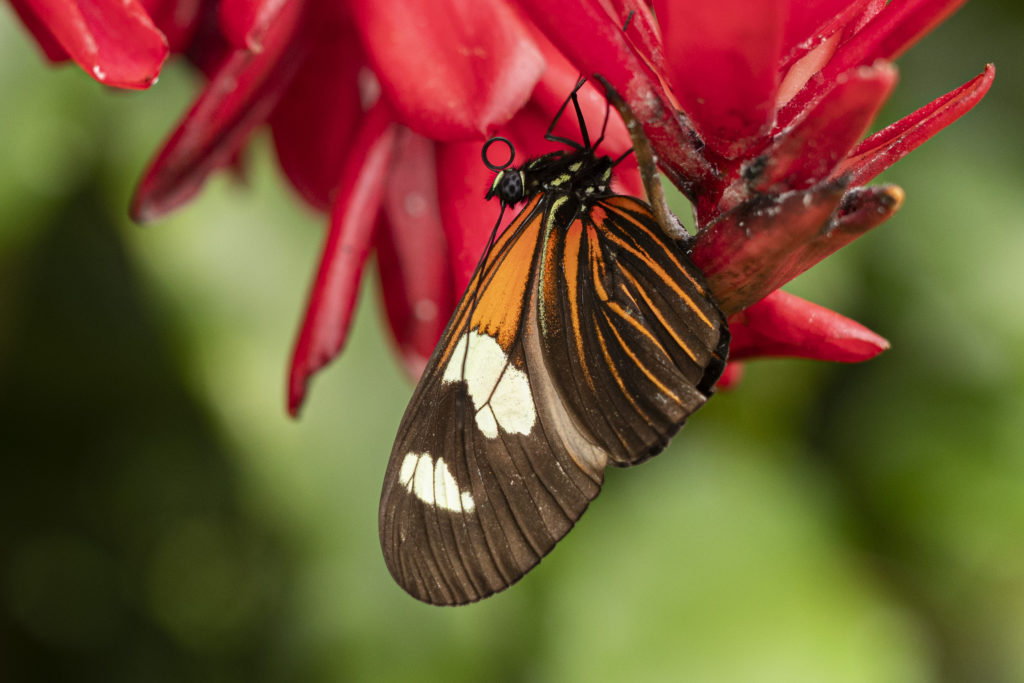Botanická zahrada hl. m. Prahy