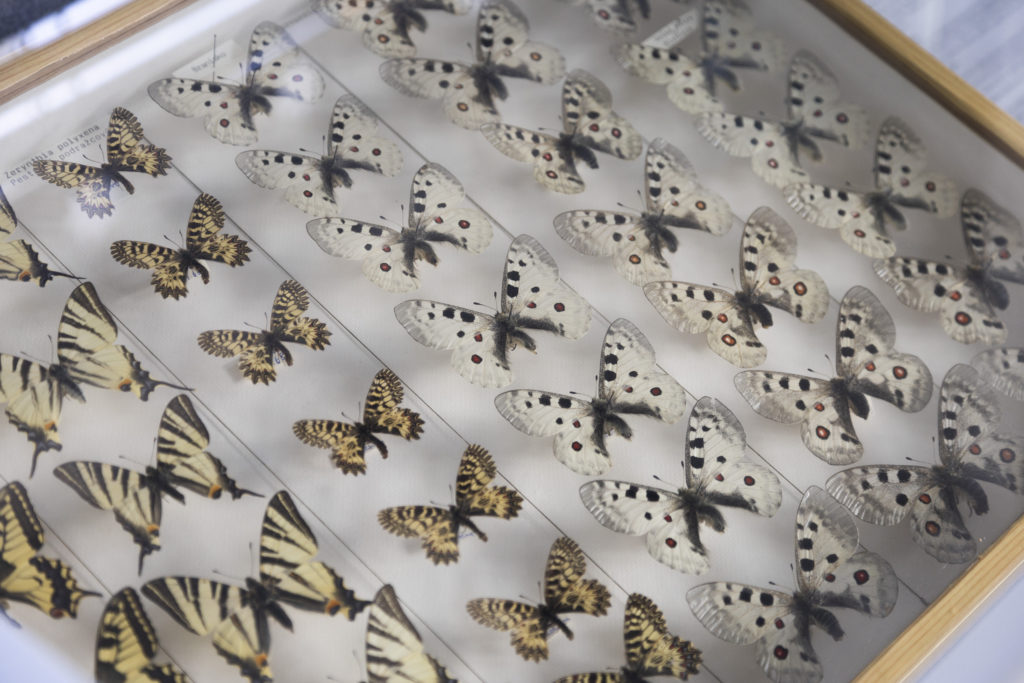 Botanická zahrada hl. m. Prahy