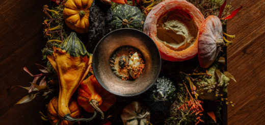 Výběr pokrmů restaurace Reason při představení menu Lovecká sezona